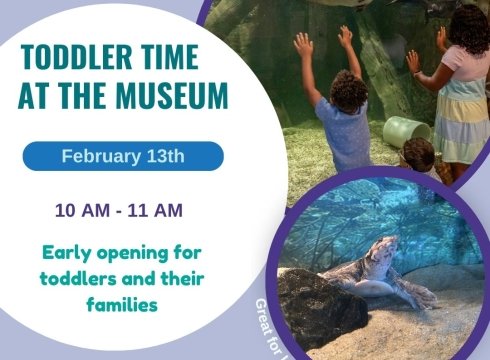 Toddler Time at the Museum