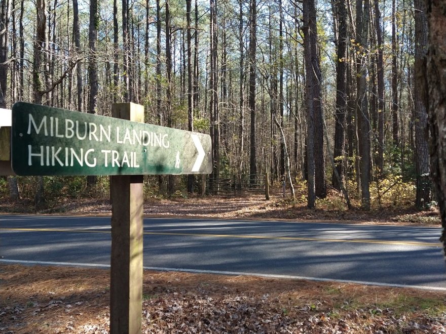 Pocomoke River State Park: Milburn Landing