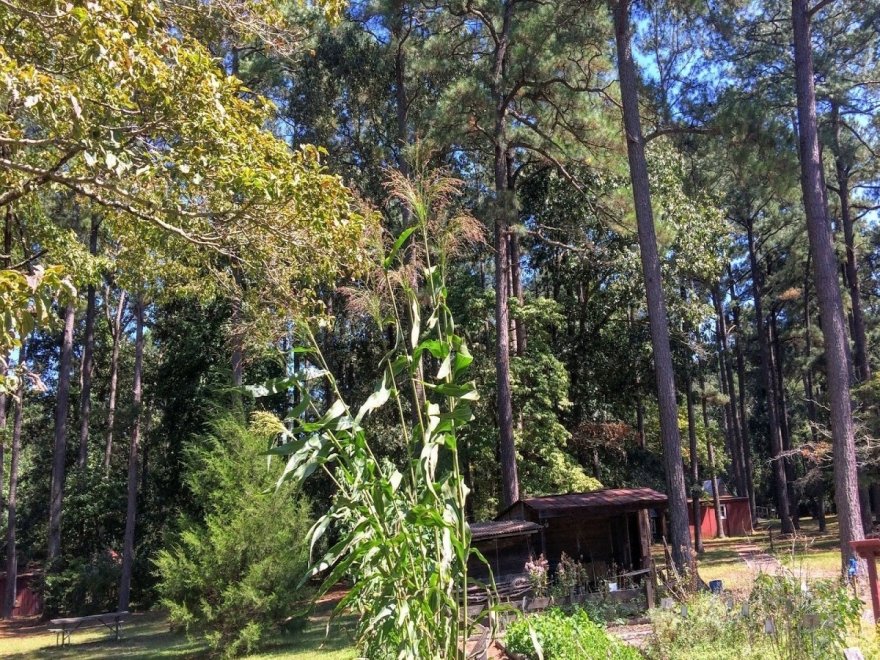 Furnace Town Historic Site