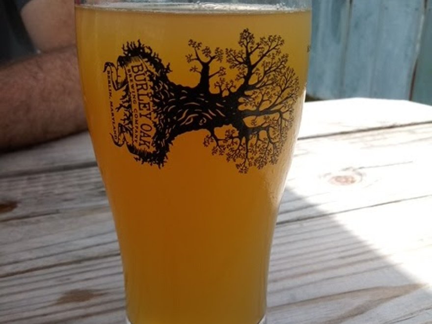 Burley Oak Brewing Company