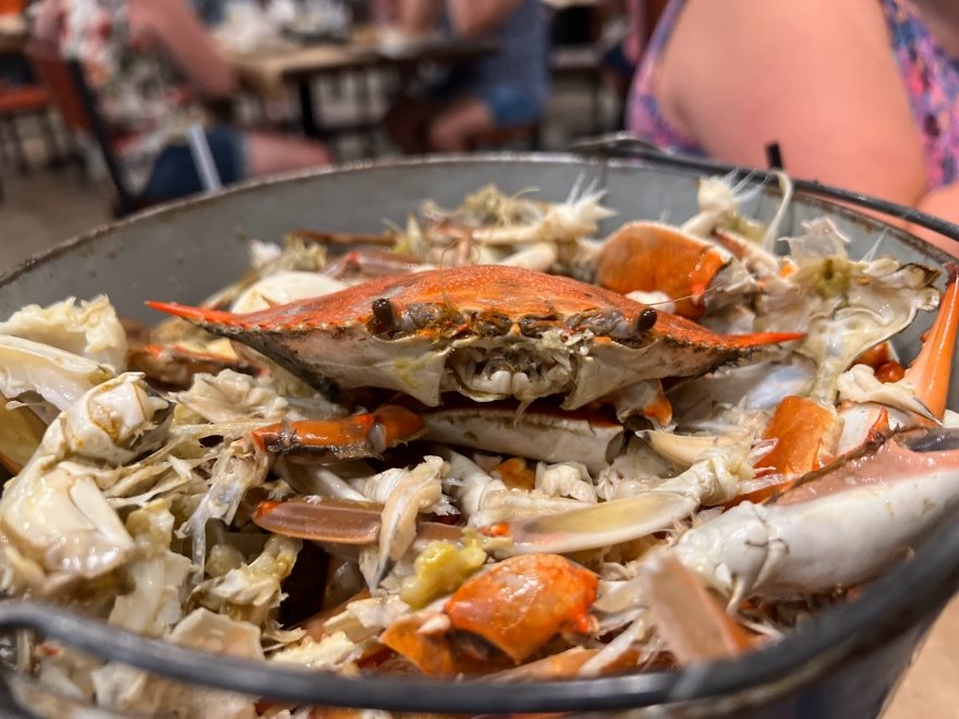 BLU Crabhouse & Raw Bar BLU Crabhouse & Raw Bar