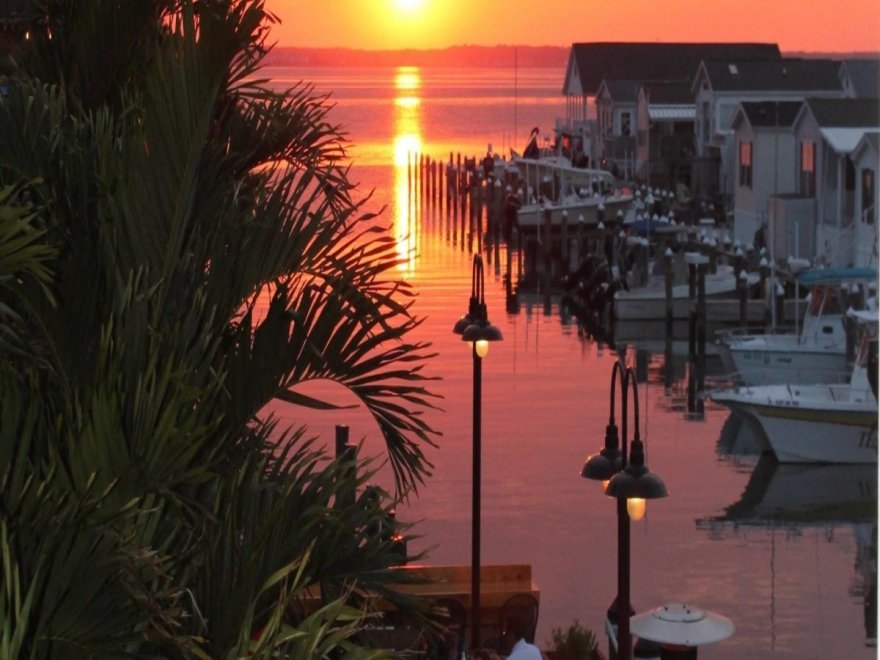 BLU Crabhouse & Raw Bar BLU Crabhouse & Raw Bar