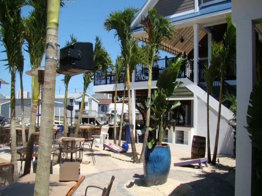 BLU Crabhouse & Raw Bar BLU Crabhouse & Raw Bar