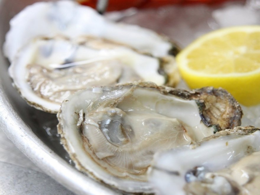 BLU Crabhouse & Raw Bar BLU Crabhouse & Raw Bar