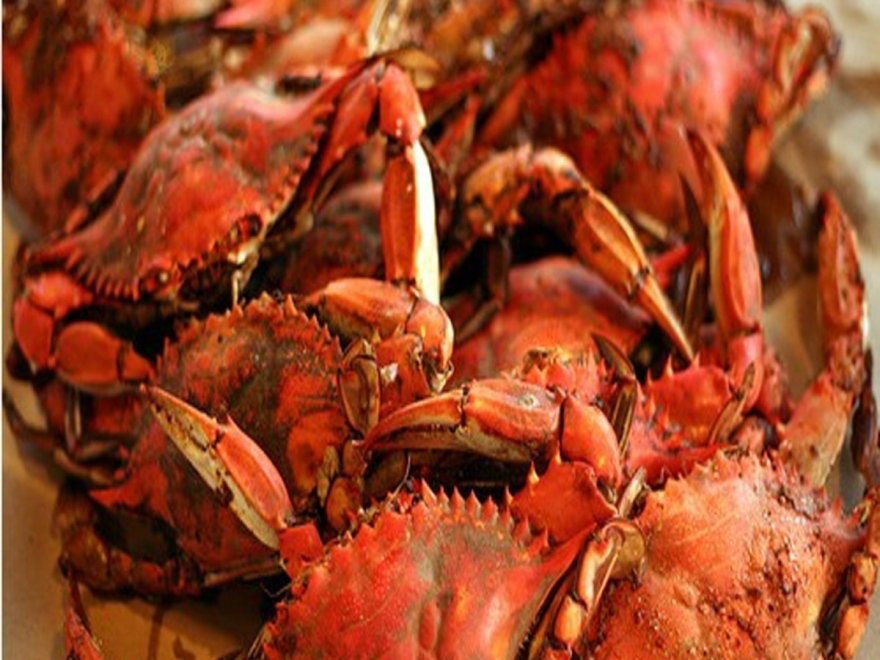 BLU Crabhouse & Raw Bar BLU Crabhouse & Raw Bar