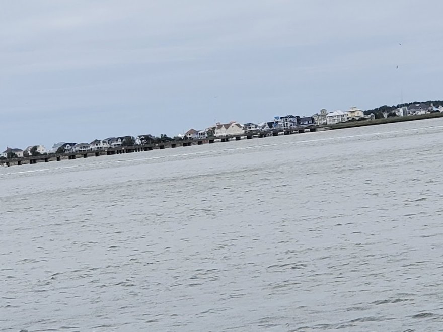 Tortuga Bay Fishing