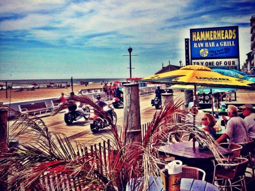 Hammerheads Bar & Grill