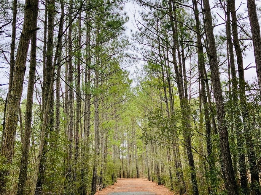 Herring Creek Nature Park