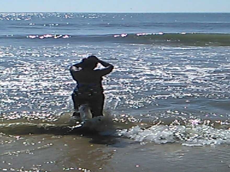 Coffee Beanery Ocean City 94th St Coffee Beanery Ocean City 94th St