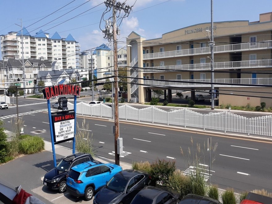 Bad Monkey OC Bad Monkey OC