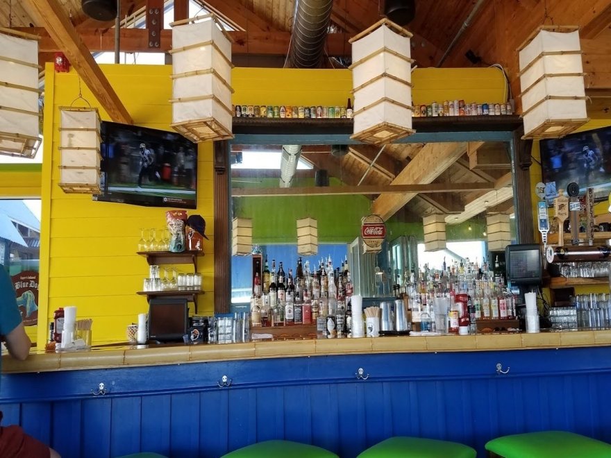 Bad Monkey OC Bad Monkey OC