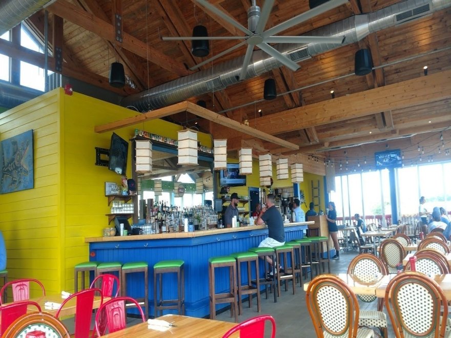 Bad Monkey OC Bad Monkey OC