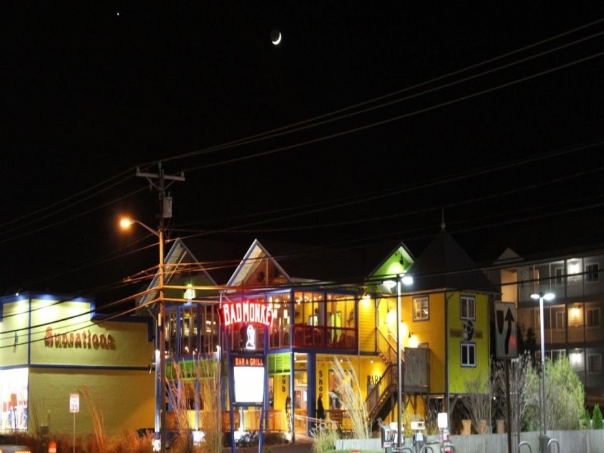 Bad Monkey OC Bad Monkey OC