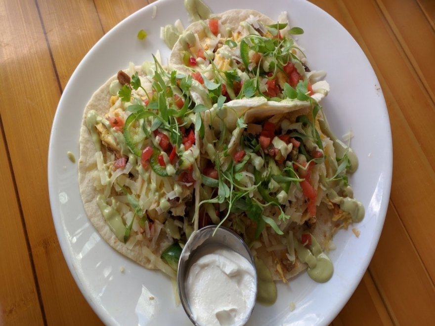 Bad Monkey OC Bad Monkey OC