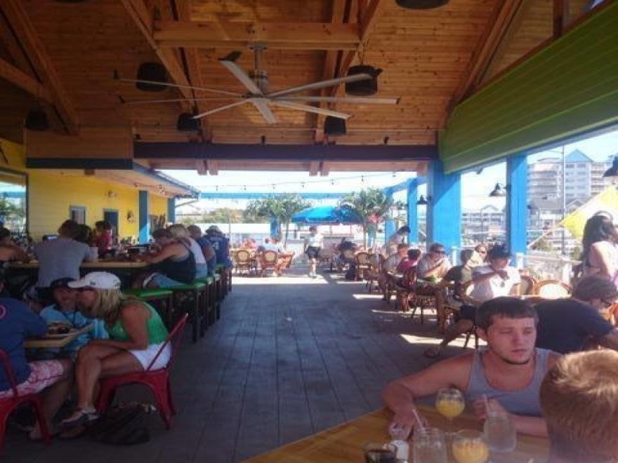 Bad Monkey OC Bad Monkey OC