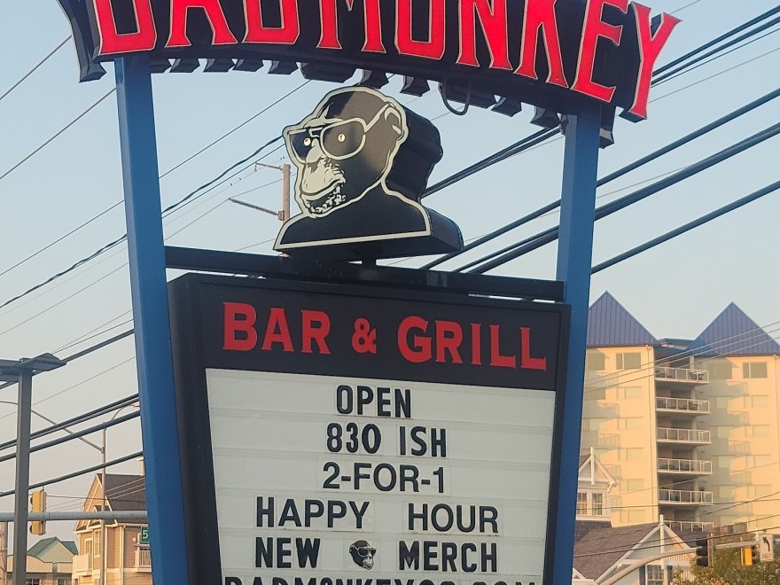 Bad Monkey OC Bad Monkey OC