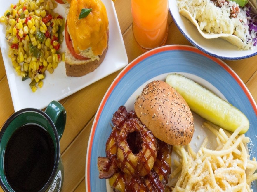 Bad Monkey OC Bad Monkey OC