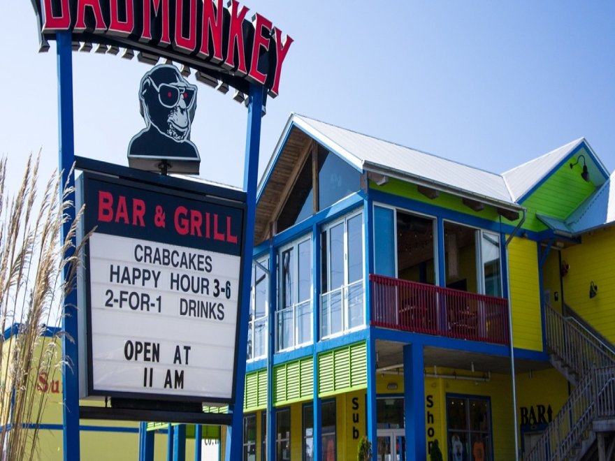 Bad Monkey OC Bad Monkey OC