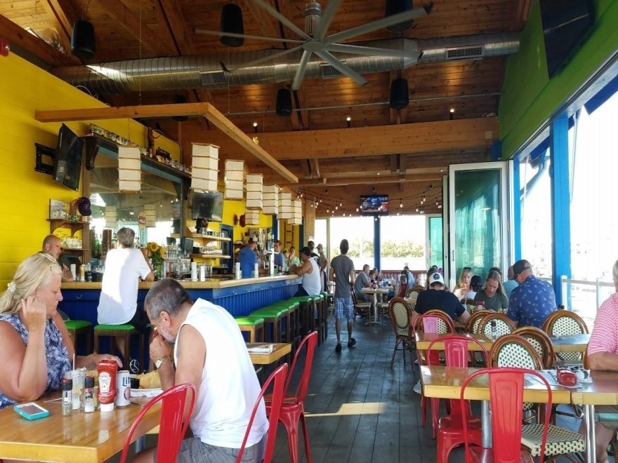 Bad Monkey OC Bad Monkey OC