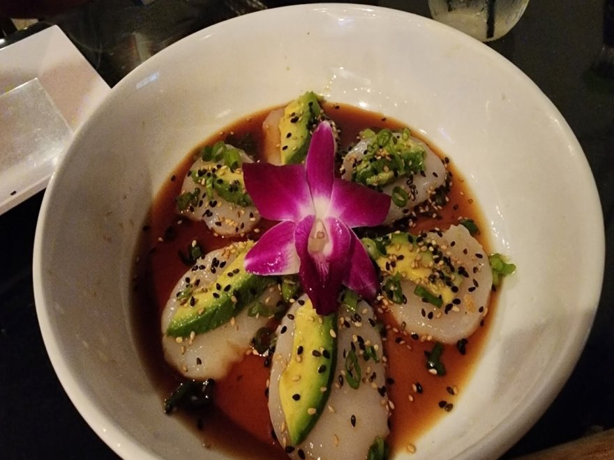 Nori Sushi Bar and Grill Nori Sushi Bar and Grill