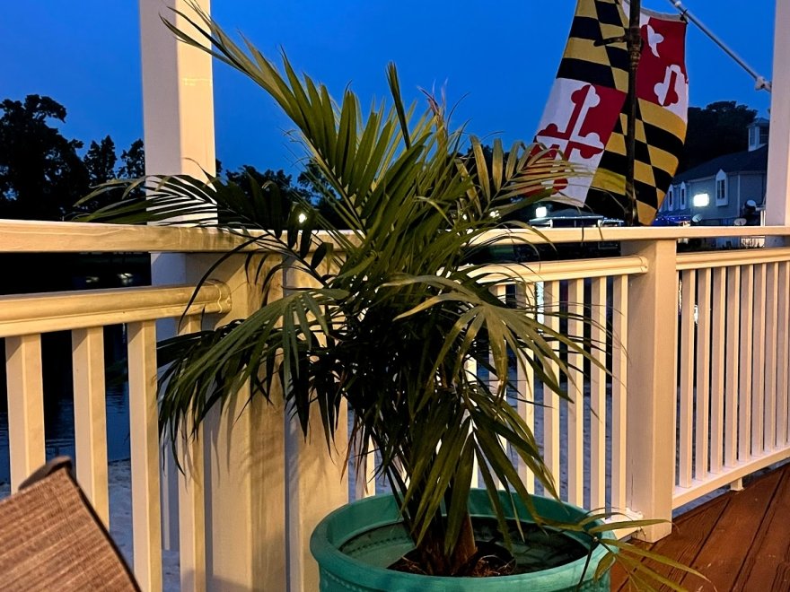 Taylor's Neighborhood Restaurant Taylor's Neighborhood Restaurant