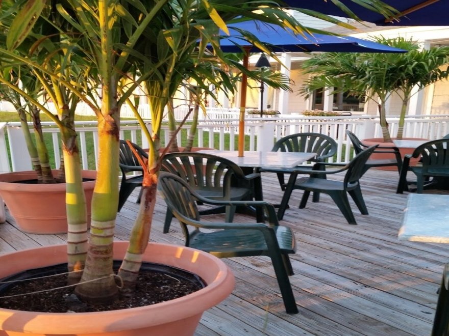 Taylor's Neighborhood Restaurant Taylor's Neighborhood Restaurant