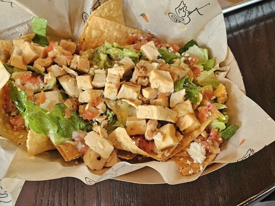 Flamingo Coast Flamingo Coast